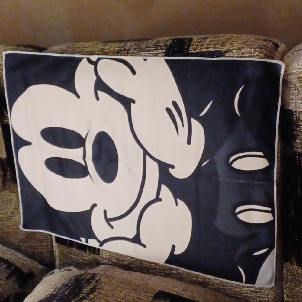 4/$30 New "Mickey Mouse" Dish Towel